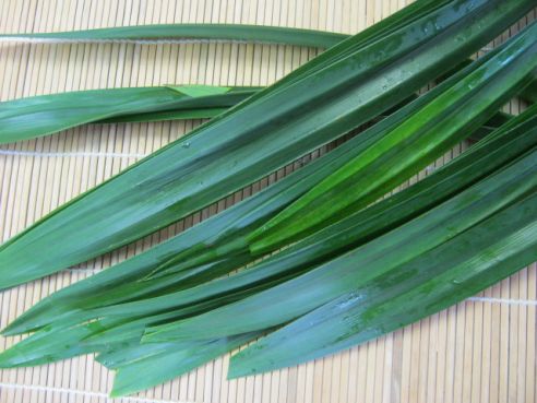 Pandanblaetter, frisch, 100g 1