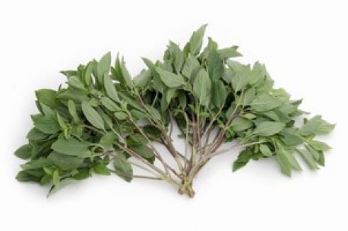 Thai Basilikum, suess, Horapa, 100g