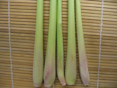 Zitronengras, frisch, 100g