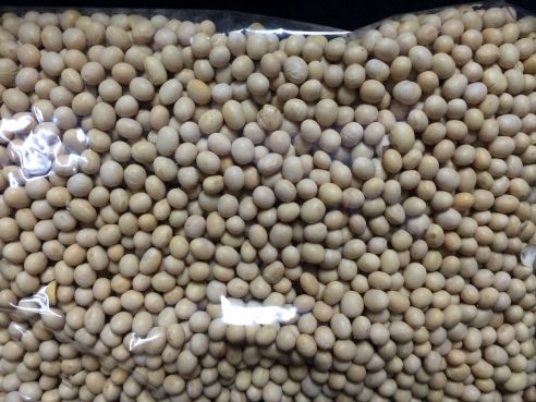 Sojabohnen, getrocknet, ganz,  5kg
