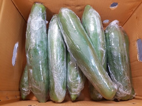 Papaya, gruen, aus Thailand, fuer Som Tam, Papaya Salat, ca. 650g 1