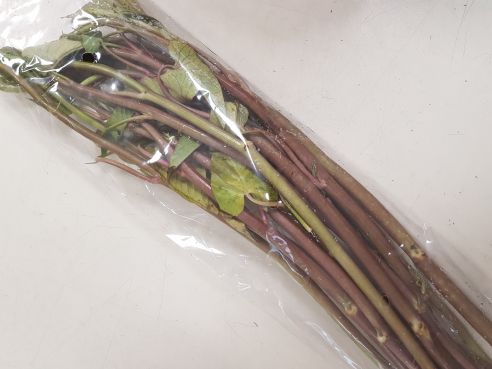 roter Wasserspinat Thai, Pak Bung Thai Red, 200g 1