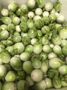 มะเขือม่วงไทย Makeur 500 กรัม