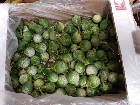 Thai-Aubergine, Makeur, 500g 1