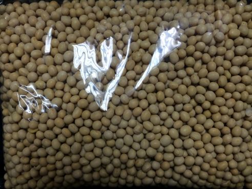 Sojabohnen, getrocknet, ganz, 25kg