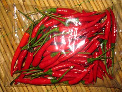 Chili, rot, klein, scharf, prik daeng, 100g