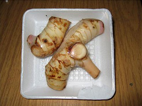 Galgantwurzel, Galanga, Laos, thai Ingwer, 100g