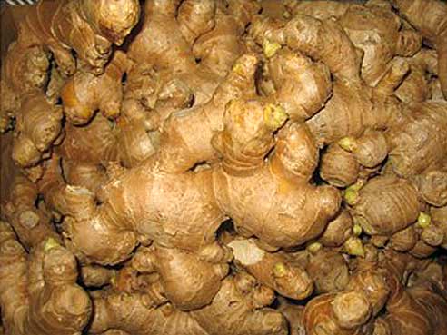 Ingwer, frisch, aus China, 100g