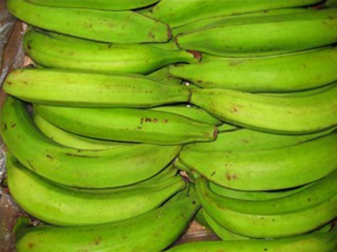 Kochbananen, gruen, Plantain, Platano, 1000g