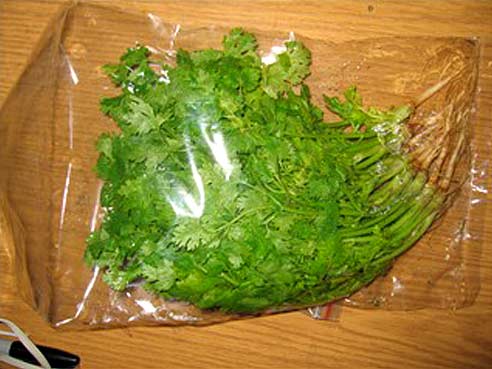 Koriander, frisch, mit Wurzel, aus Thailand, 100g