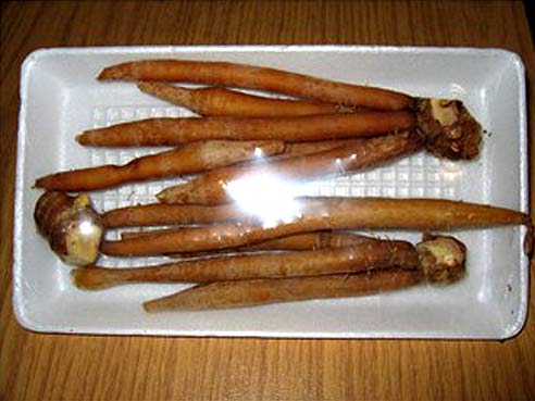Krachai, Tumicuni, Fingerwurz, Boesenbergia rotunda, 100g