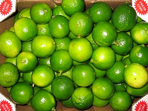 Limetten, 3 Stueck, ungespritzt, Brasilien