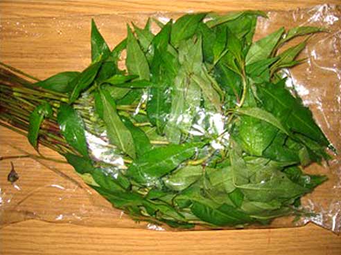 Minz-Basilikum, Pak Paew, Rau Ram, 100g