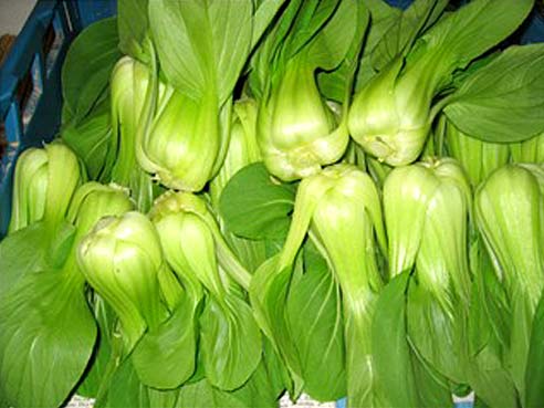 Pak Choi, Shanghai, 500g