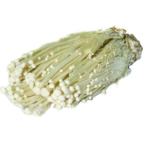 Enoki Pilze, frisch, Enokitake, 100g