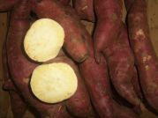 Suesskartoffeln rot, weisses Fruchtfleisch, 500g